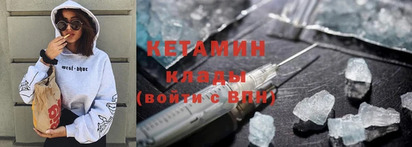 прущие грибы Абаза