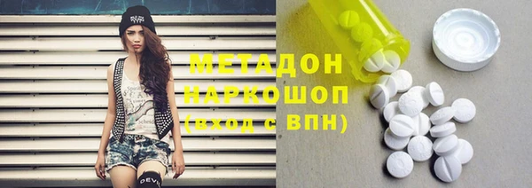 прущие грибы Абаза