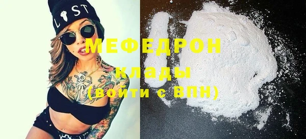 индика Осинники