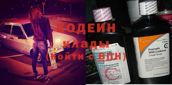 индика Няндома