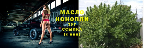 индика Нязепетровск