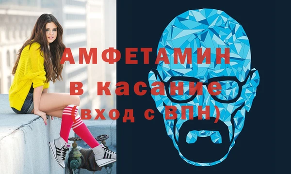 прущие грибы Абаза