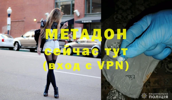 прущие грибы Абаза