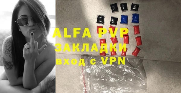 индика Няндома