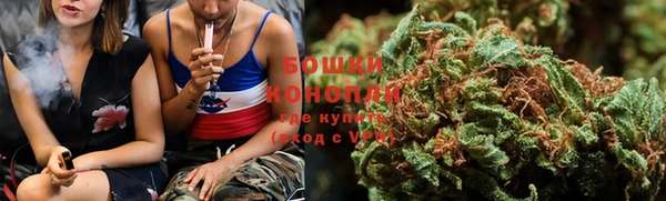 прущие грибы Абаза