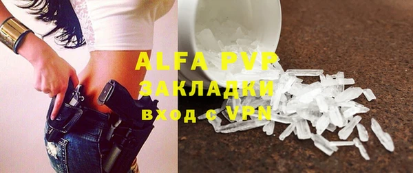 прущие грибы Абаза