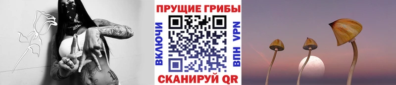 площадка наркотические препараты  Нефтегорск  Псилоцибиновые грибы Psilocybe  кракен ССЫЛКА 
